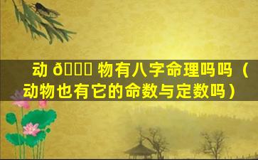 动 🍀 物有八字命理吗吗（动物也有它的命数与定数吗）